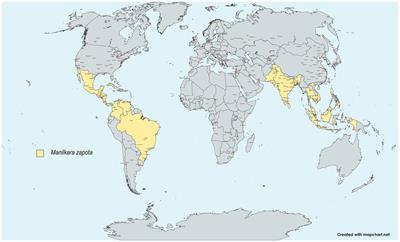 Manilkara zapota “chicozapote” as a fruit source of health-beneficial bioactive compounds and its effects on chronic degenerative and infectious diseases, a review